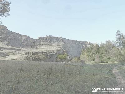 Hoces del Río Duratón - Villa y Tierra de Sepúlveda;viajes organizados